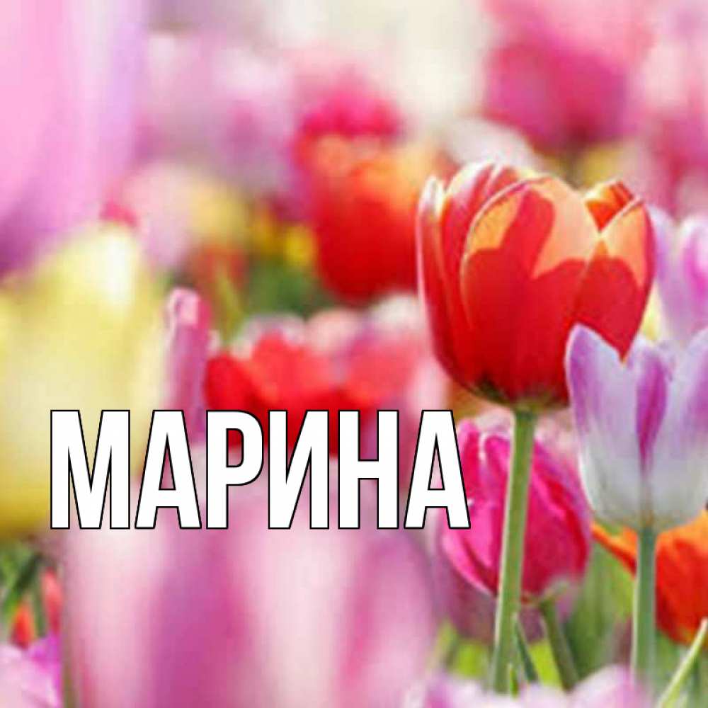 Открытка на каждый день с именем, Марина Главная на международный женский день 2 Прикольная открытка с пожеланием онлайн скачать бесплатно 