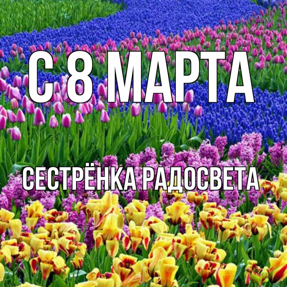 Открытка на каждый день с именем, Сестрёнка-Радосвета С 8 МАРТА цветы Прикольная открытка с пожеланием онлайн скачать бесплатно 