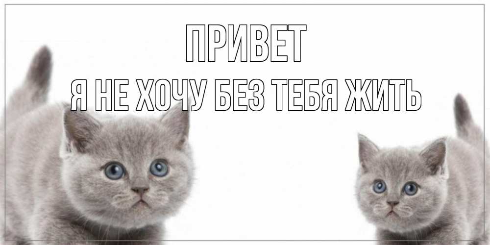 Открытку, картинки привет это я звезда