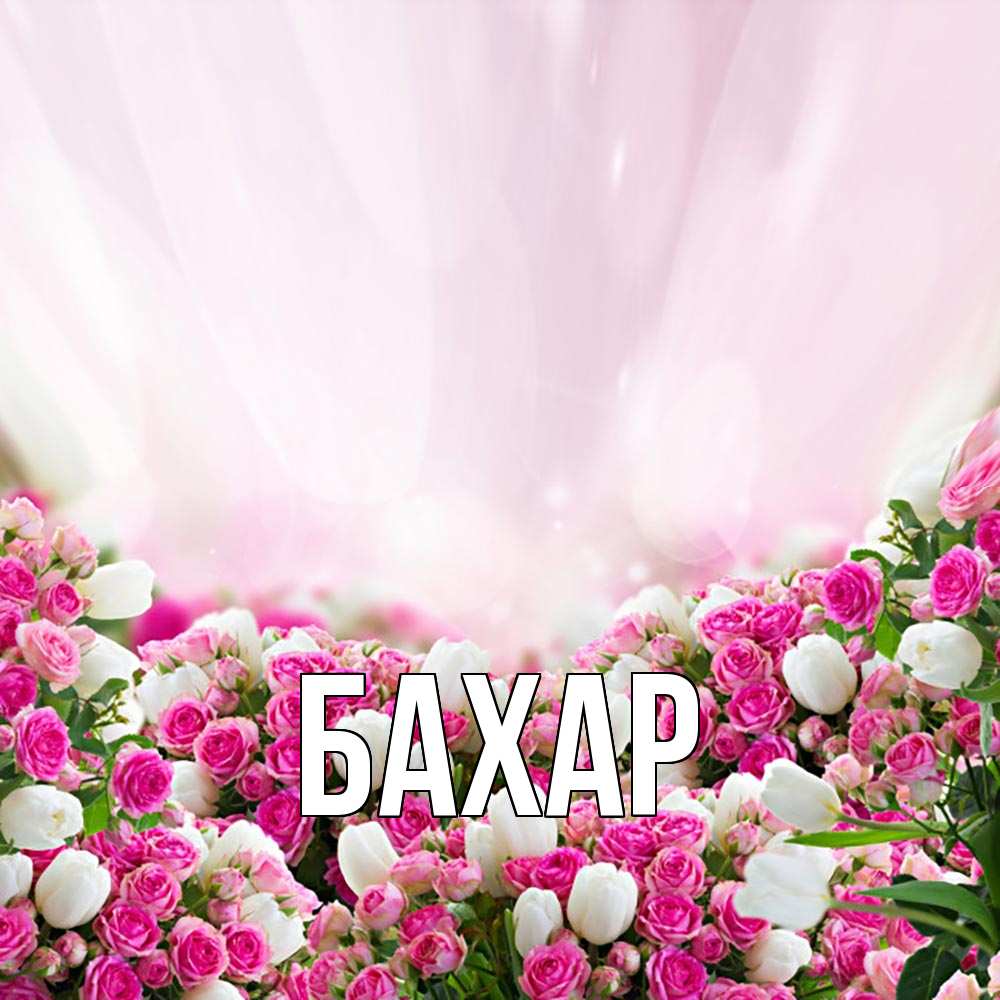 Картинка  с именем , Бахар