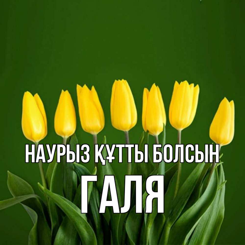 Картинка Наурыз құтты болсын, Галя