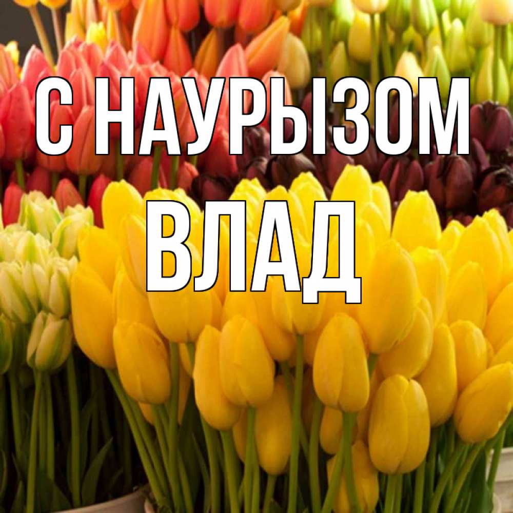 Картинка С наурызом, Влад