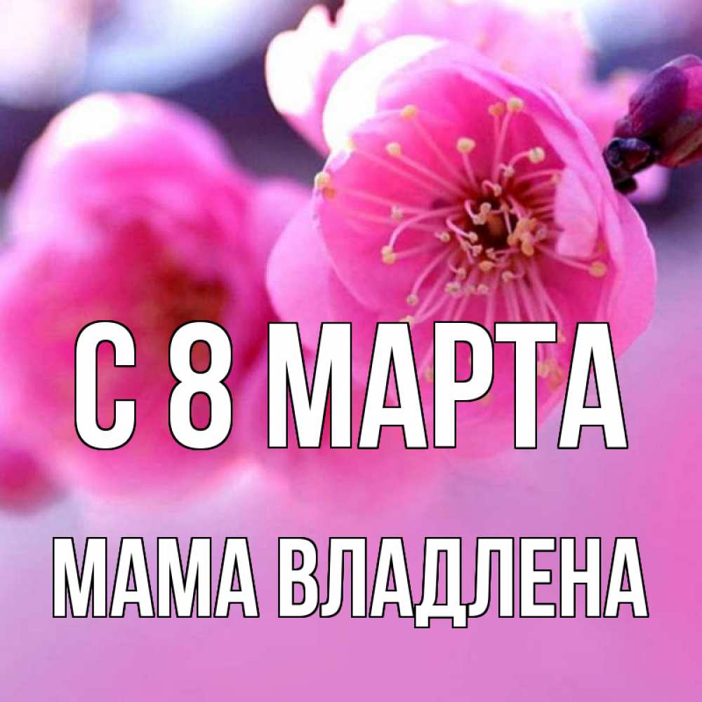 Открытка на каждый день с именем, Мама-Владлена С 8 МАРТА международный женский день Прикольная открытка с пожеланием онлайн скачать бесплатно 