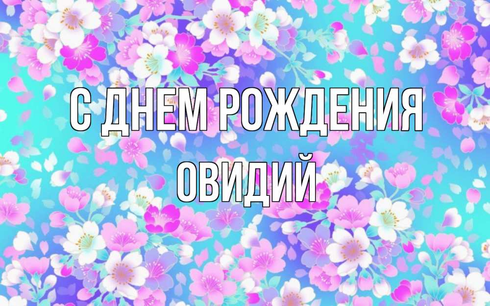 Открытка на каждый день с именем, Овидий С днем рождения открытка с заливкой Прикольная открытка с пожеланием онлайн скачать бесплатно 