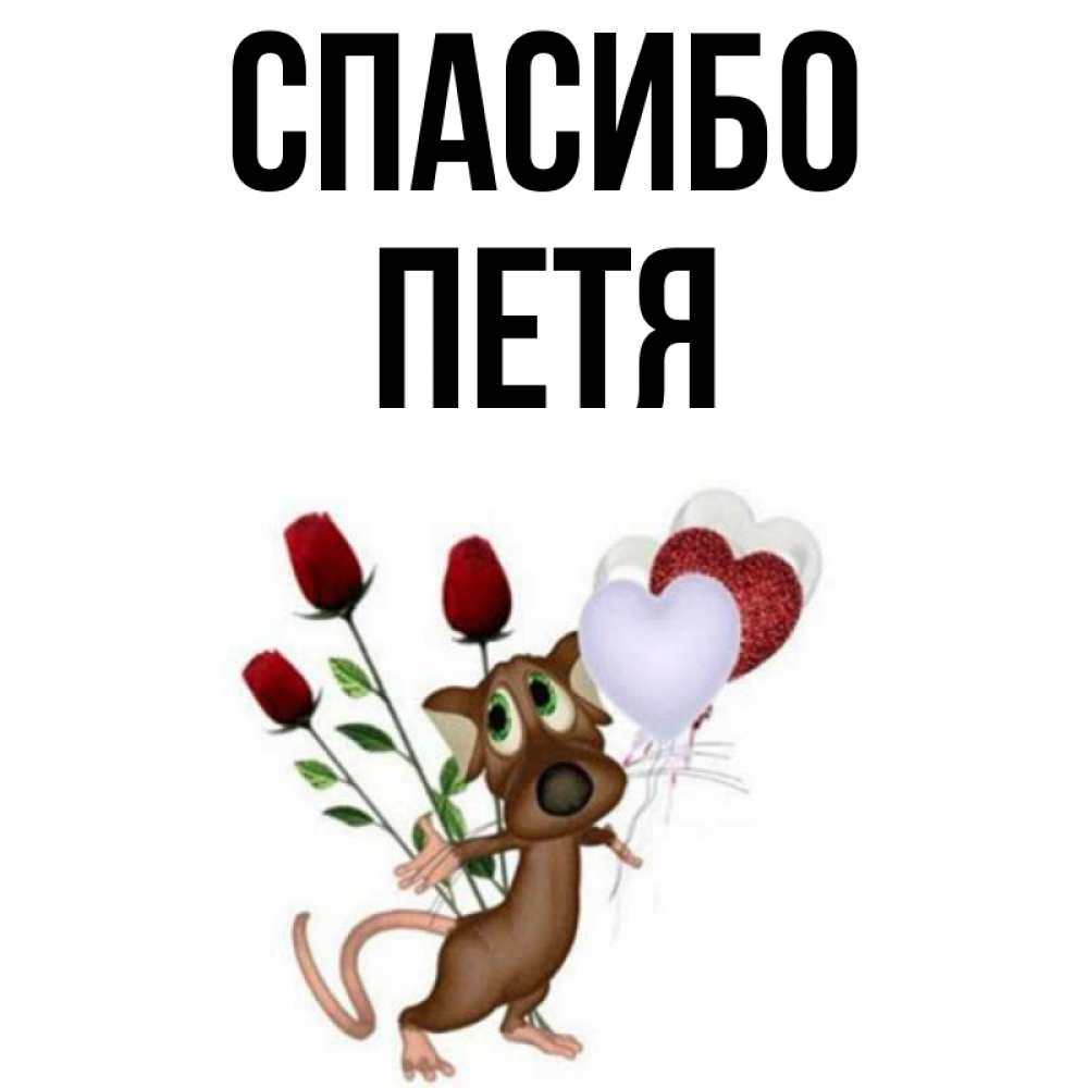 Кто поет спасибо но нет. Кто поет спасибо но нет