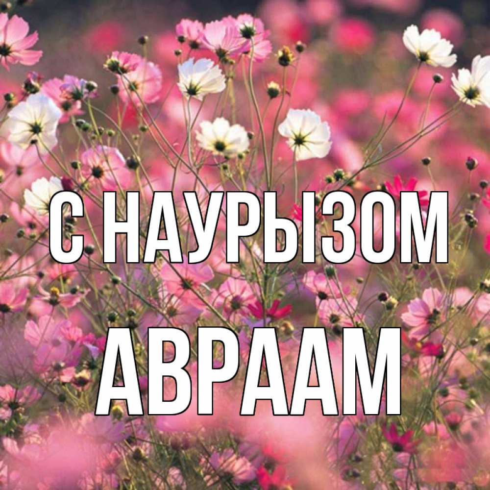 Открытка на каждый день с именем, Авраам С наурызом красиво 1 Прикольная открытка с пожеланием онлайн скачать бесплатно 