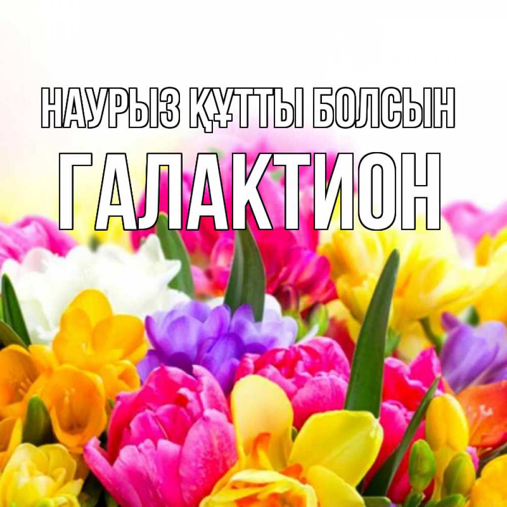 Открытка на каждый день с именем, Галактион Наурыз құтты болсын тюльпаны Прикольная открытка с пожеланием онлайн скачать бесплатно 