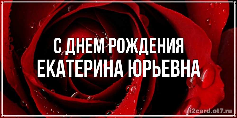 Открытка на каждый день с именем, Екатерина-Юрьевна С днем рождения крупная бордовая роза Прикольная открытка с пожеланием онлайн скачать бесплатно 