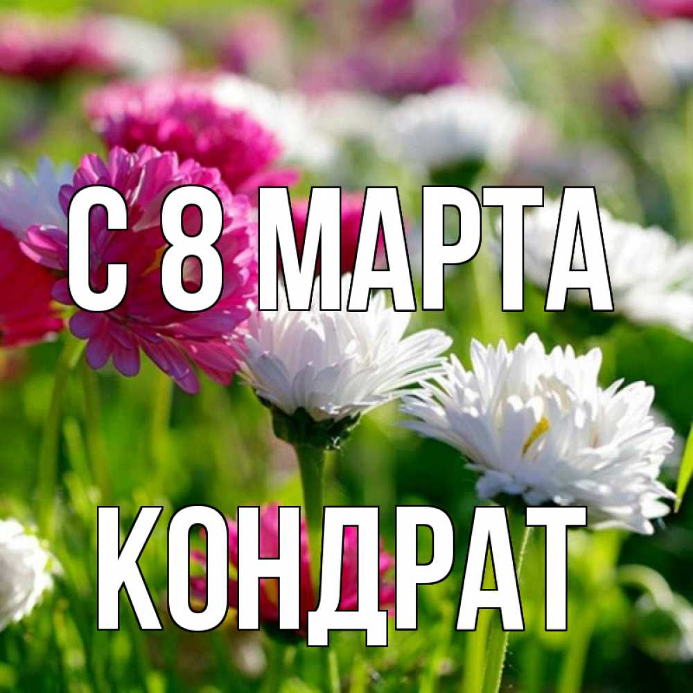 Открытка на каждый день с именем, Кондрат С 8 МАРТА международный женский день 1 Прикольная открытка с пожеланием онлайн скачать бесплатно 