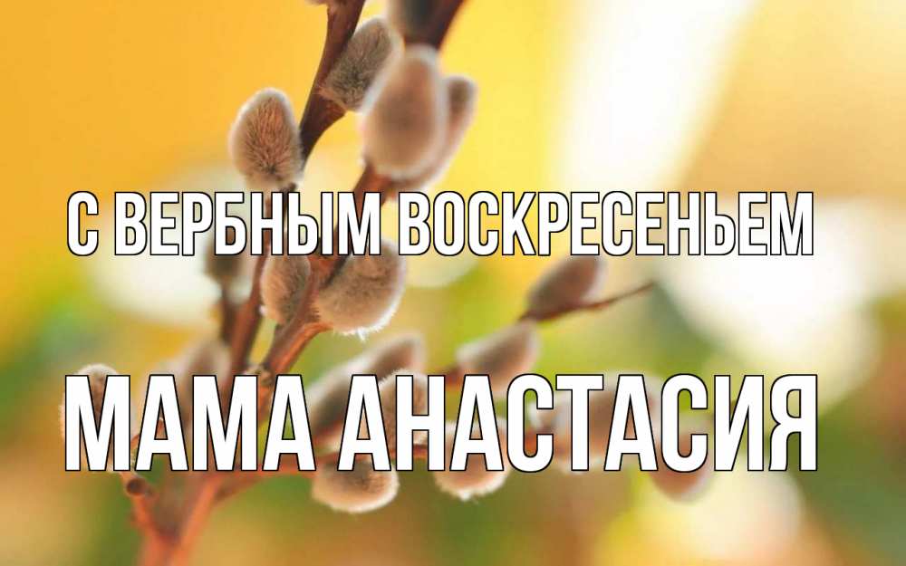 Открытка на каждый день с именем, Мама-Анастасия С вербным воскресеньем верба Прикольная открытка с пожеланием онлайн скачать бесплатно 