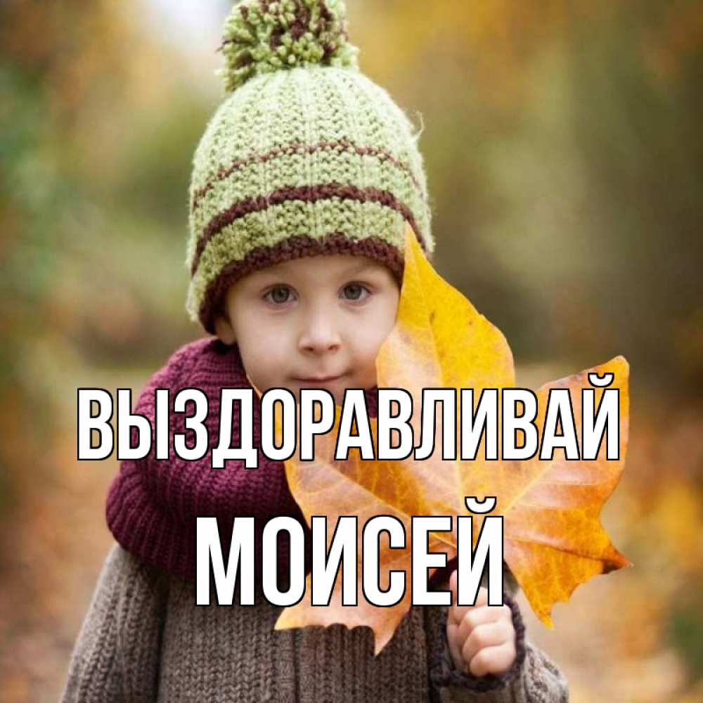 Открытка на каждый день с именем, Моисей Выздоравливай дышим свежим воздухом Прикольная открытка с пожеланием онлайн скачать бесплатно 