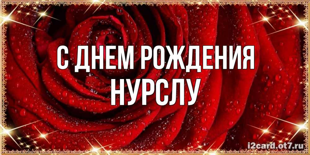Открытка на каждый день с именем, Нурслу С днем рождения роса на розе блестящая в лучах солнца Прикольная открытка с пожеланием онлайн скачать бесплатно 