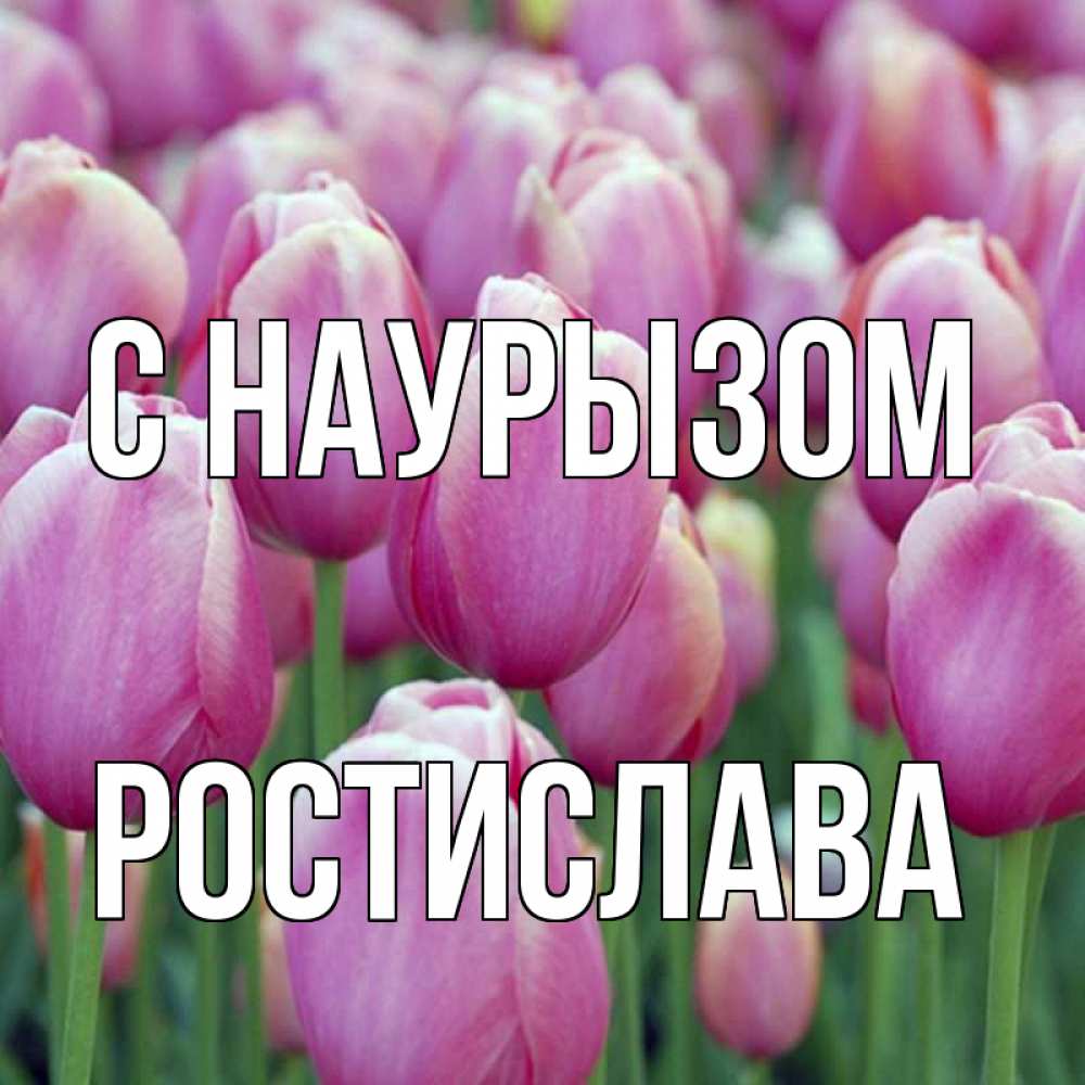 Открытка на каждый день с именем, Ростислава С наурызом праздник весны наурыз 69 Прикольная открытка с пожеланием онлайн скачать бесплатно 