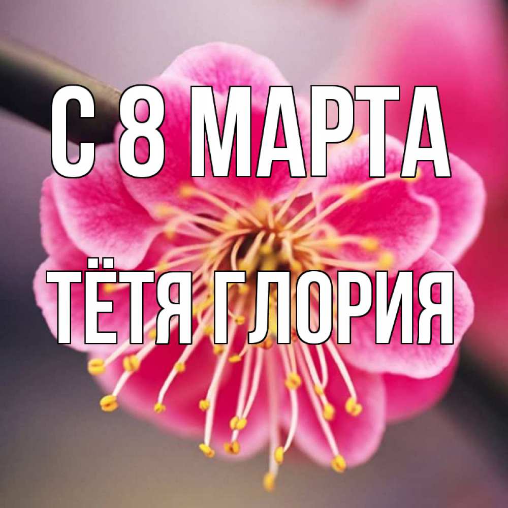 Открытка на каждый день с именем, Тётя-Глория С 8 МАРТА цветы Прикольная открытка с пожеланием онлайн скачать бесплатно 
