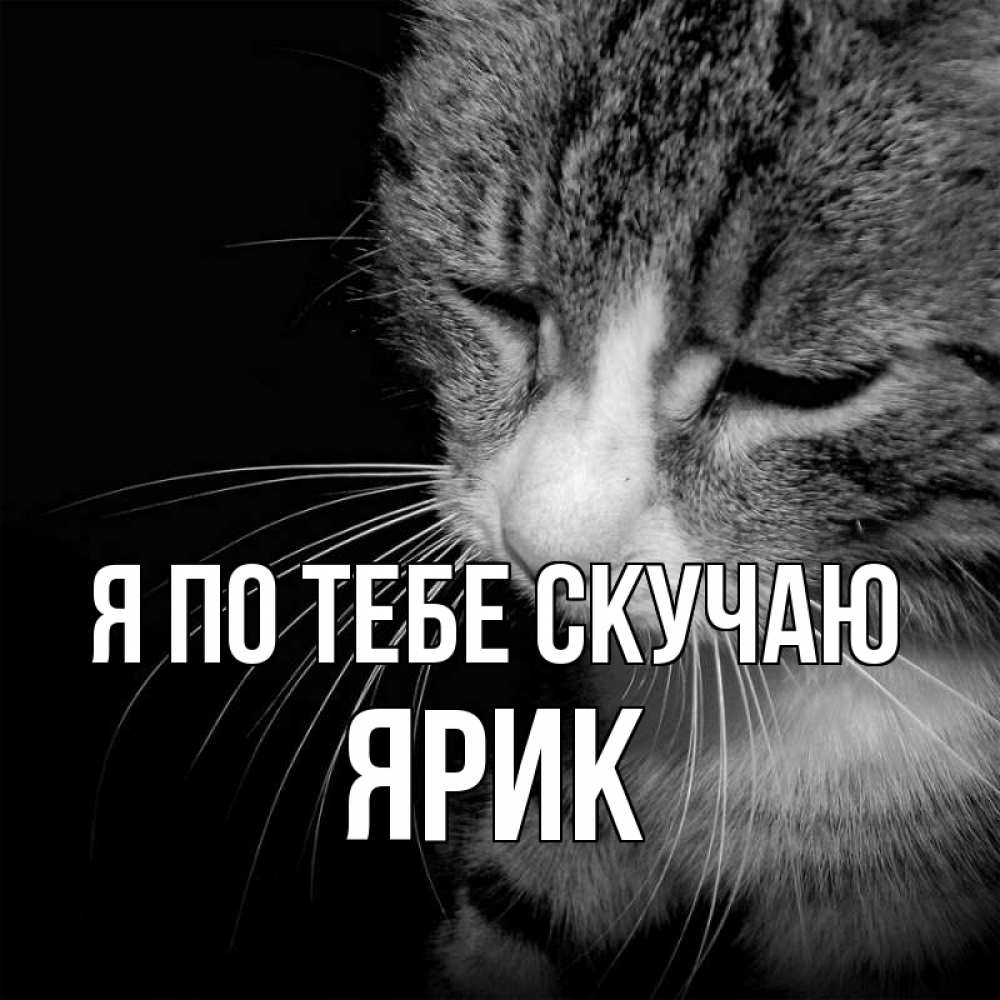 Открытка на каждый день с именем, Ярик Я по тебе скучаю мне скучно Прикольная открытка с пожеланием онлайн скачать бесплатно 