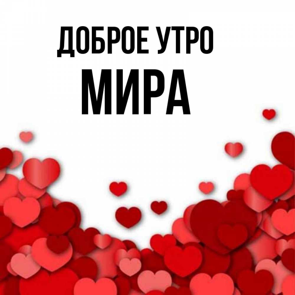 Открытка на каждый день с именем, Мира Доброе утро хорошего настроения Прикольная открытка с пожеланием онлайн скачать бесплатно 
