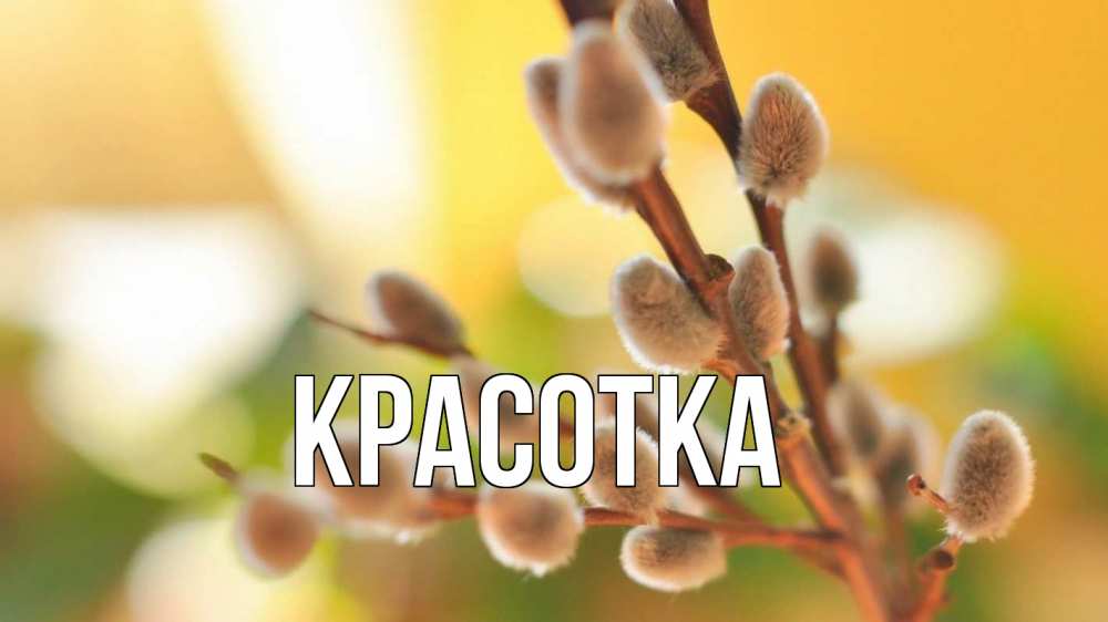 Открытка на каждый день с именем, красотка Главная верба 1 Прикольная открытка с пожеланием онлайн скачать бесплатно 