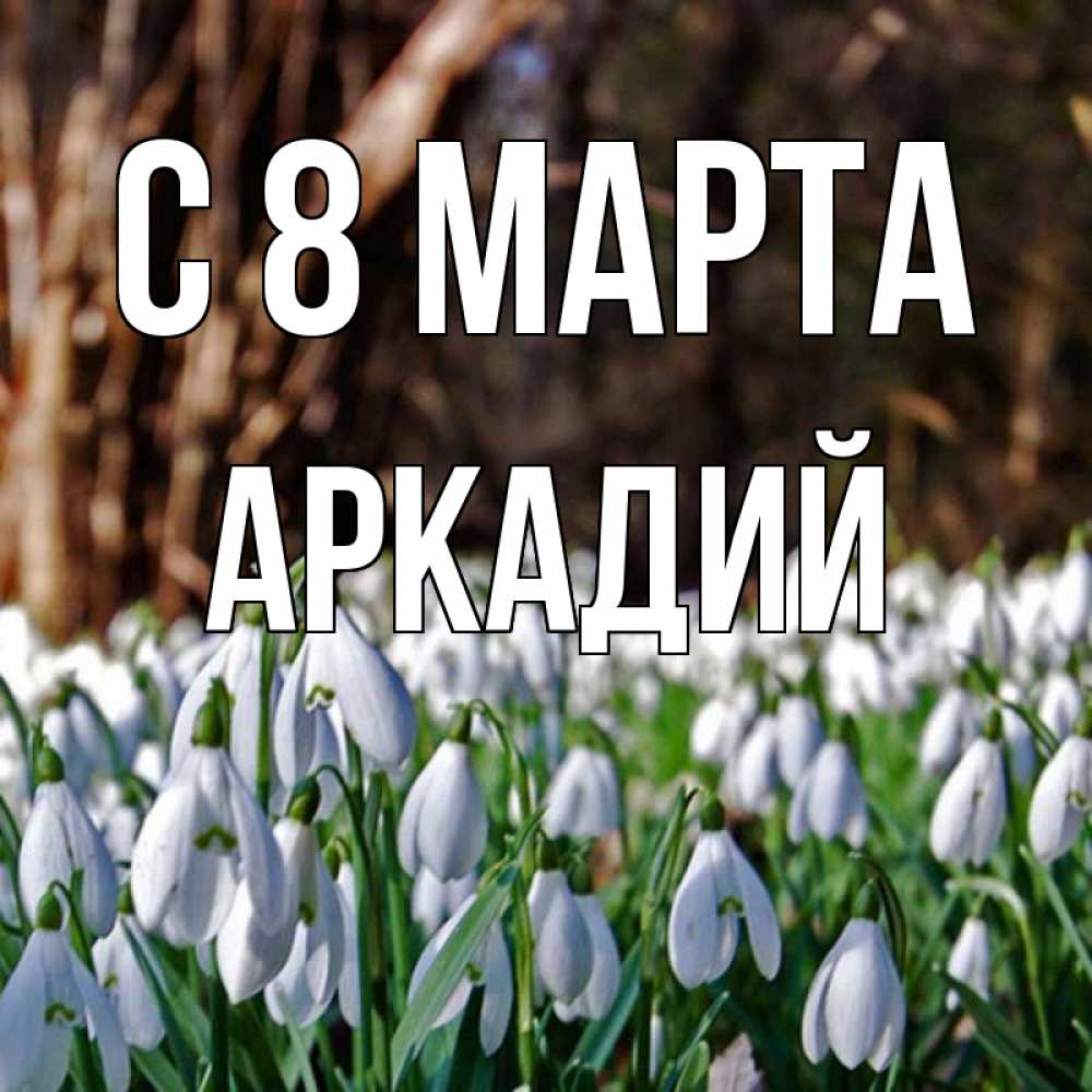 Открытка на каждый день с именем, Аркадий С 8 марта с подснежниками 1 Прикольная открытка с пожеланием онлайн скачать бесплатно 