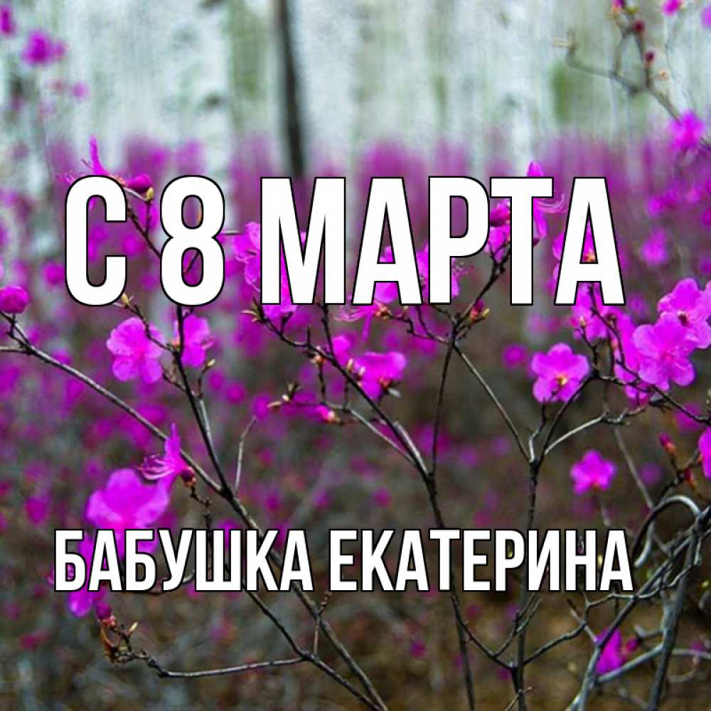 Картинка С 8 марта, Бабушка Екатерина