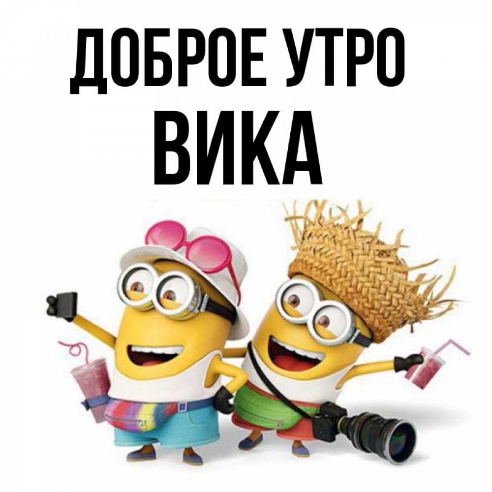 Вика вставай: найдено 83 картинок
