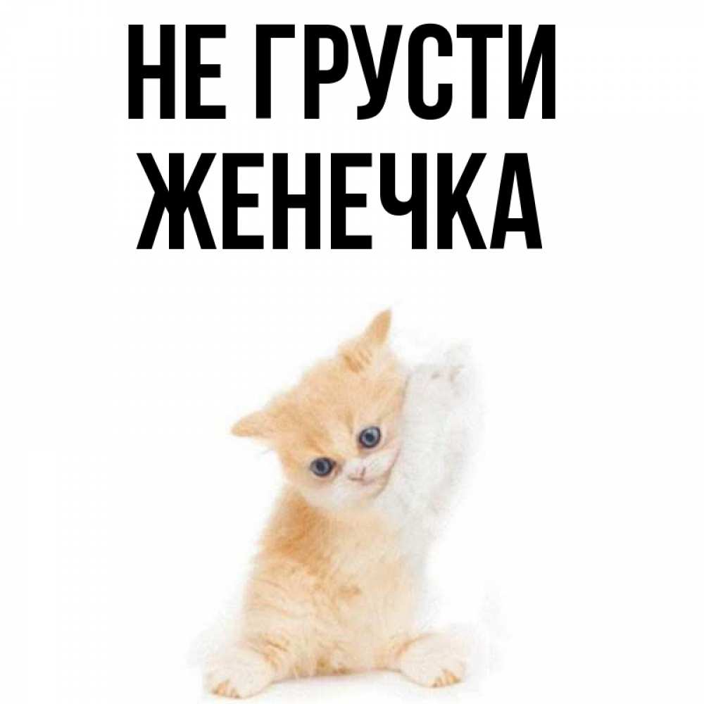 Открытка с именем женечка, открытки