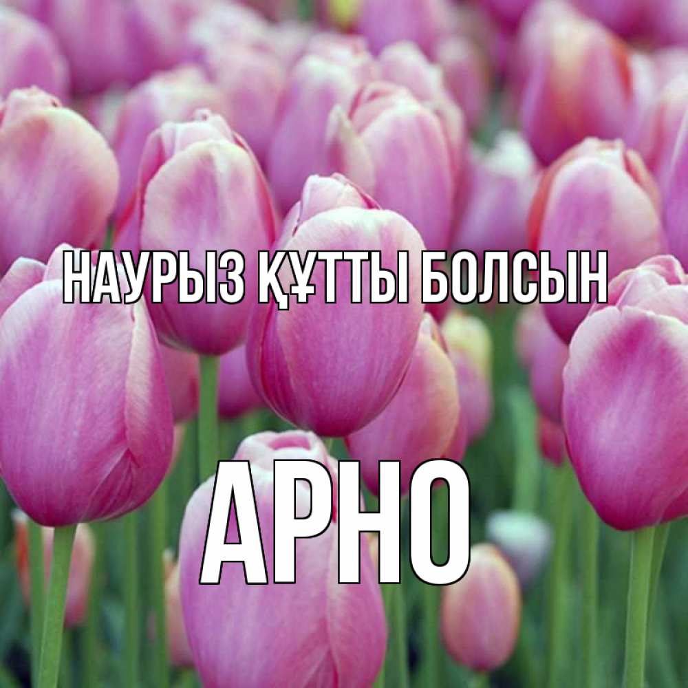Открытка на каждый день с именем, Арно Наурыз құтты болсын на наурыз  день 3 Прикольная открытка с пожеланием онлайн скачать бесплатно 