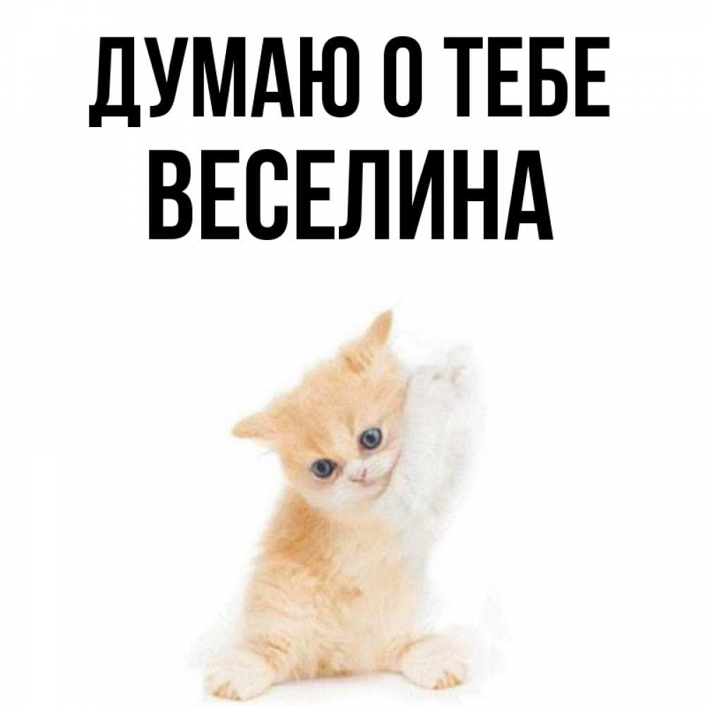 Открытка на каждый день с именем, Веселина Думаю о тебе зверушки и милота Прикольная открытка с пожеланием онлайн скачать бесплатно 