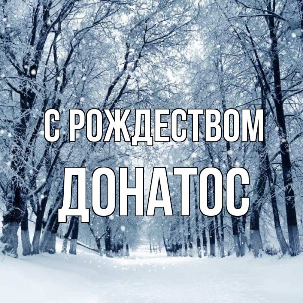 Открытка на каждый день с именем, Донатос С рождеством снег, лес, парк Прикольная открытка с пожеланием онлайн скачать бесплатно 