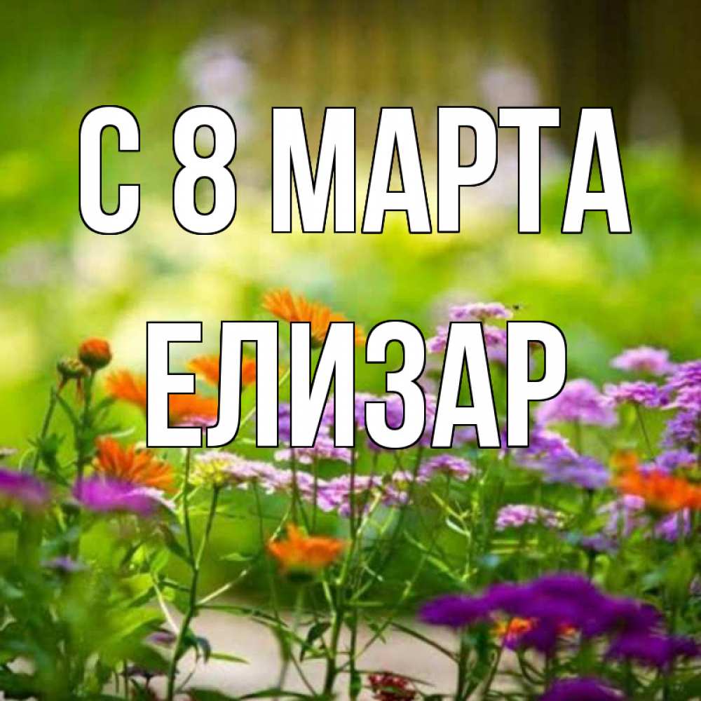 Открытка на каждый день с именем, Елизар С 8 МАРТА цветы Прикольная открытка с пожеланием онлайн скачать бесплатно 