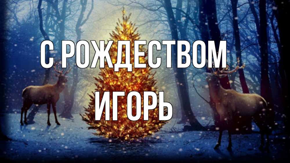 Открытка на каждый день с именем, Игорь С рождеством олени, новогодняя елка Прикольная открытка с пожеланием онлайн скачать бесплатно 