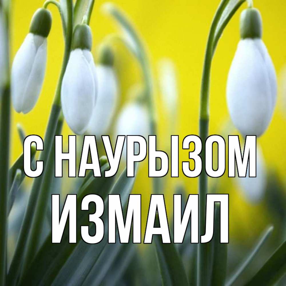 Открытка на каждый день с именем, Измаил С наурызом весенние цветы Прикольная открытка с пожеланием онлайн скачать бесплатно 
