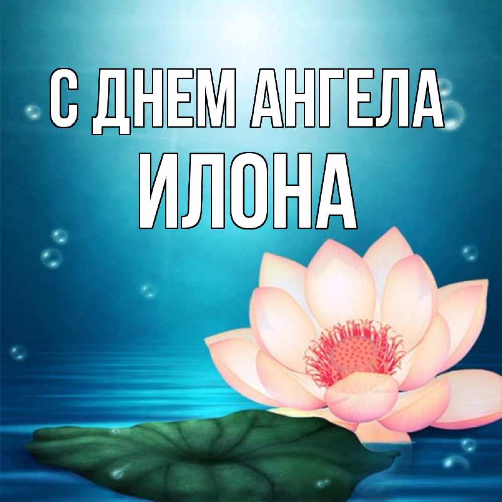 Открытка на каждый день с именем, Илона С днем ангела кувшинка Прикольная открытка с пожеланием онлайн скачать бесплатно 