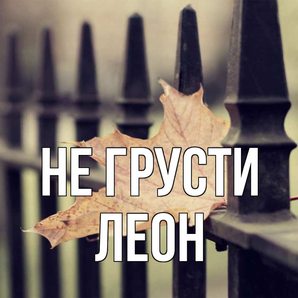 Открытка на каждый день с именем, Леон Не грусти лист клена Прикольная открытка с пожеланием онлайн скачать бесплатно 