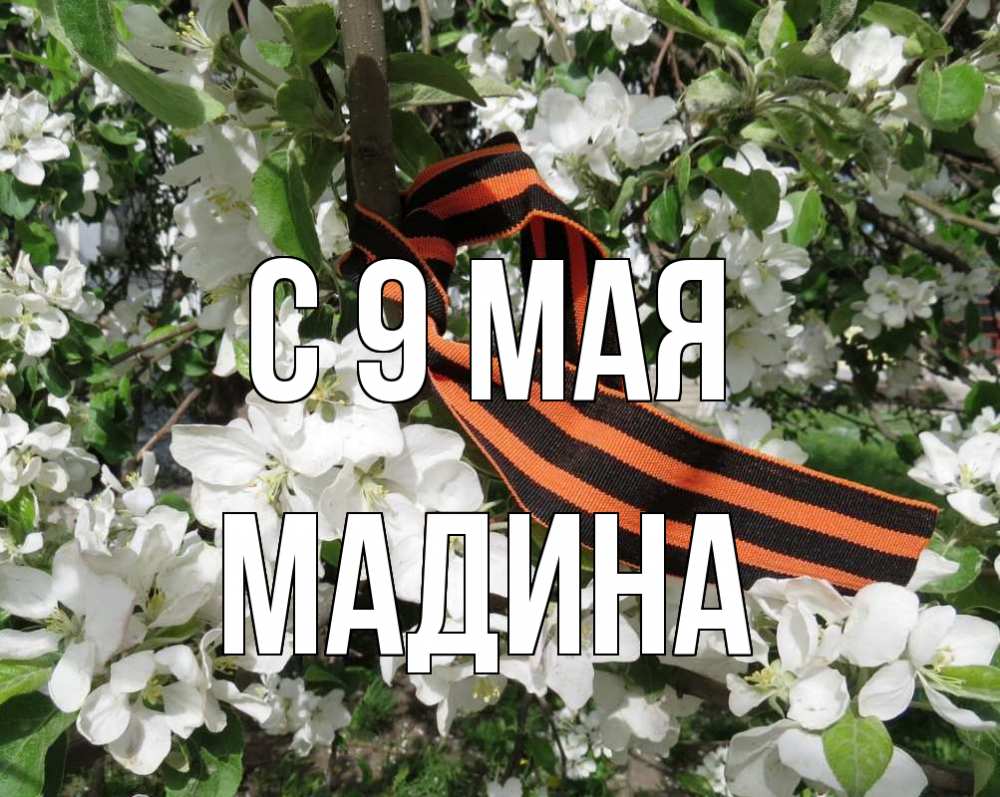 Открытка на каждый день с именем, Мадина С 9 мая 9 мая Прикольная открытка с пожеланием онлайн скачать бесплатно 
