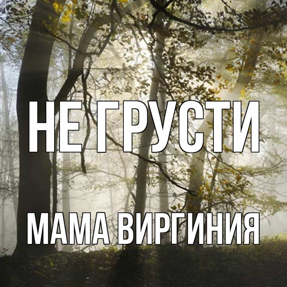 Открытка на каждый день с именем, Мама-Виргиния Не грусти лес и свет Прикольная открытка с пожеланием онлайн скачать бесплатно 