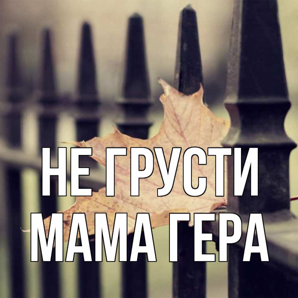 Открытка на каждый день с именем, Мама-Гера Не грусти лист клена Прикольная открытка с пожеланием онлайн скачать бесплатно 