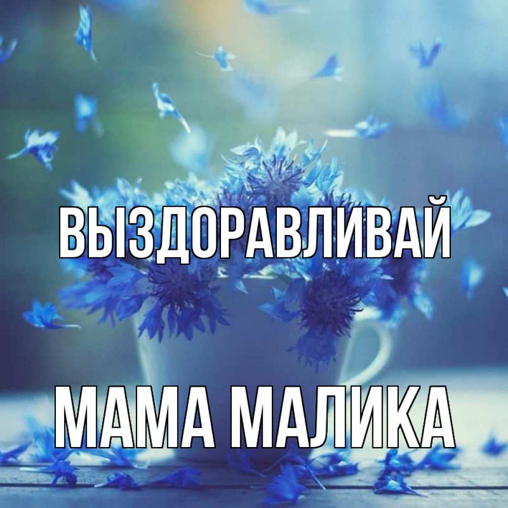 Открытка на каждый день с именем, Мама-Малика Выздоравливай кружка с зельем и цветами Прикольная открытка с пожеланием онлайн скачать бесплатно 