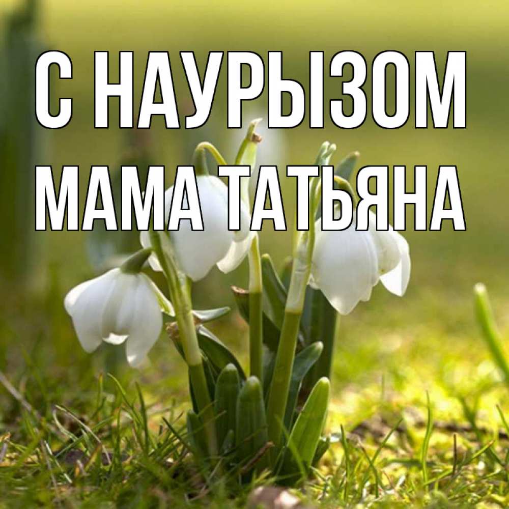 Открытка на каждый день с именем, Мама-Татьяна С наурызом ранние цветы 2 Прикольная открытка с пожеланием онлайн скачать бесплатно 