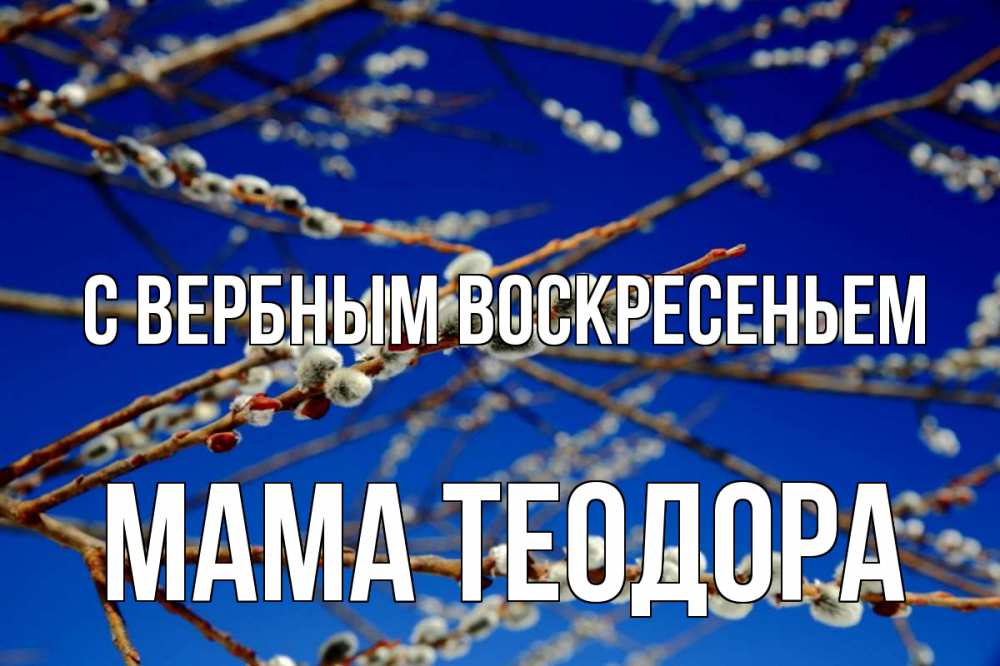 Открытка на каждый день с именем, Мама-Теодора С вербным воскресеньем верба Прикольная открытка с пожеланием онлайн скачать бесплатно 