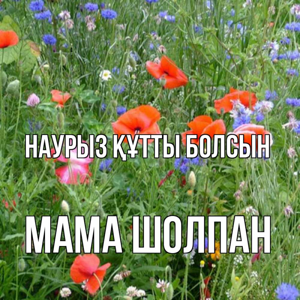 Открытка на каждый день с именем, Мама-Шолпан Наурыз құтты болсын наурыз  4 Прикольная открытка с пожеланием онлайн скачать бесплатно 