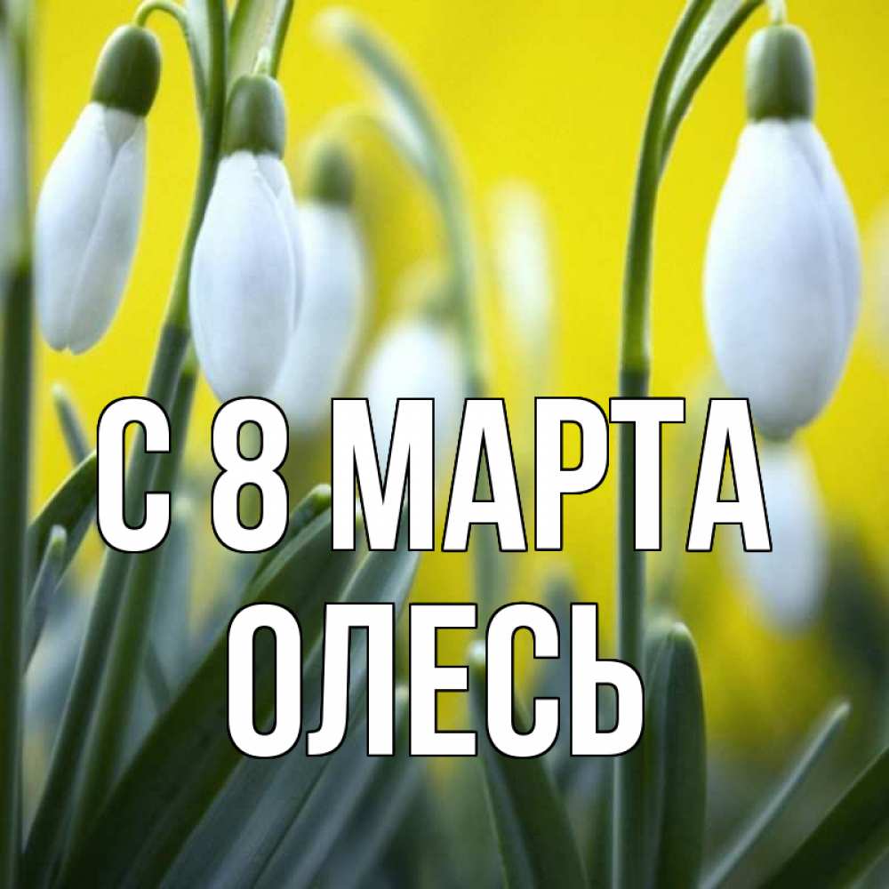 Открытка на каждый день с именем, Олесь С 8 МАРТА весенние цветы Прикольная открытка с пожеланием онлайн скачать бесплатно 