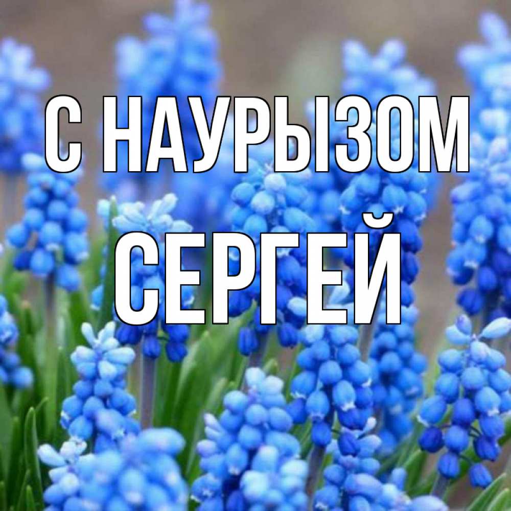 Открытка на каждый день с именем, Сергей С наурызом Поздравительная открытка для женщин с цветами на праздничную дату Прикольная открытка с пожеланием онлайн скачать бесплатно 