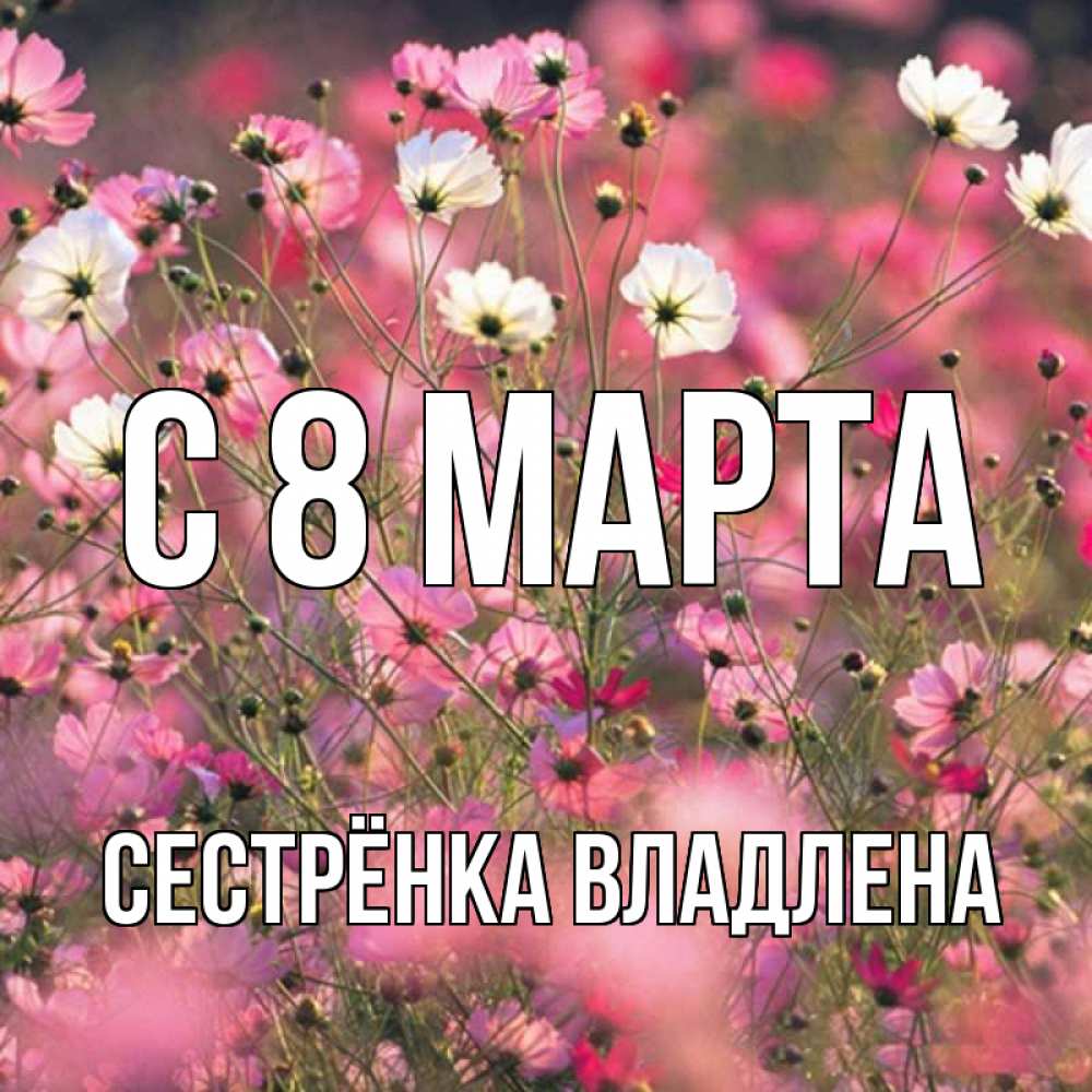 Открытка на каждый день с именем, Сестрёнка-Владлена С 8 МАРТА красиво 1 Прикольная открытка с пожеланием онлайн скачать бесплатно 