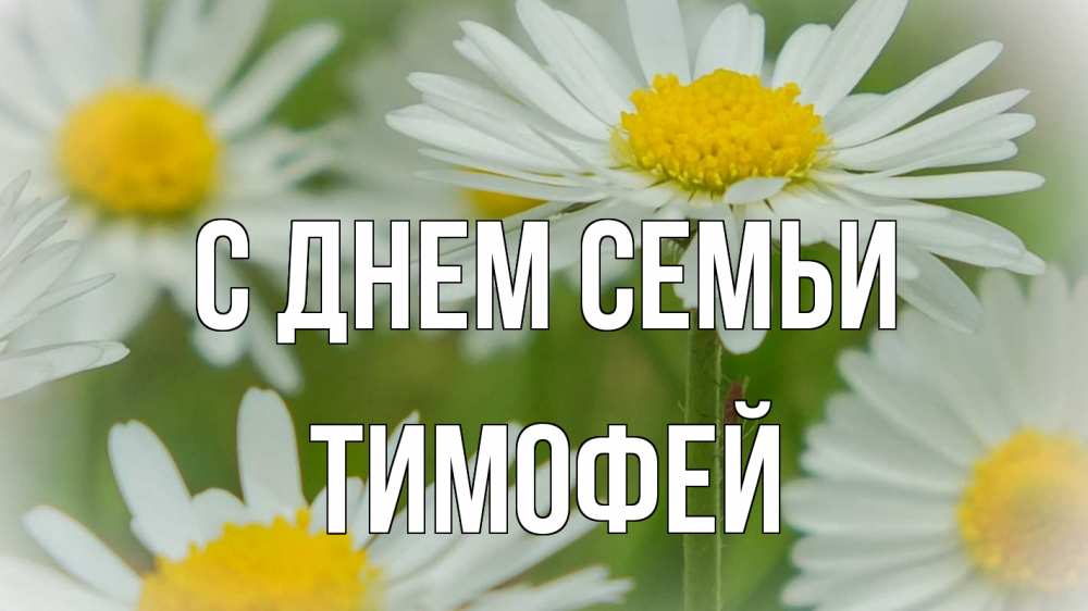 Открытка на каждый день с именем, Тимофей С днем семьи с днем семьи  1 Прикольная открытка с пожеланием онлайн скачать бесплатно 