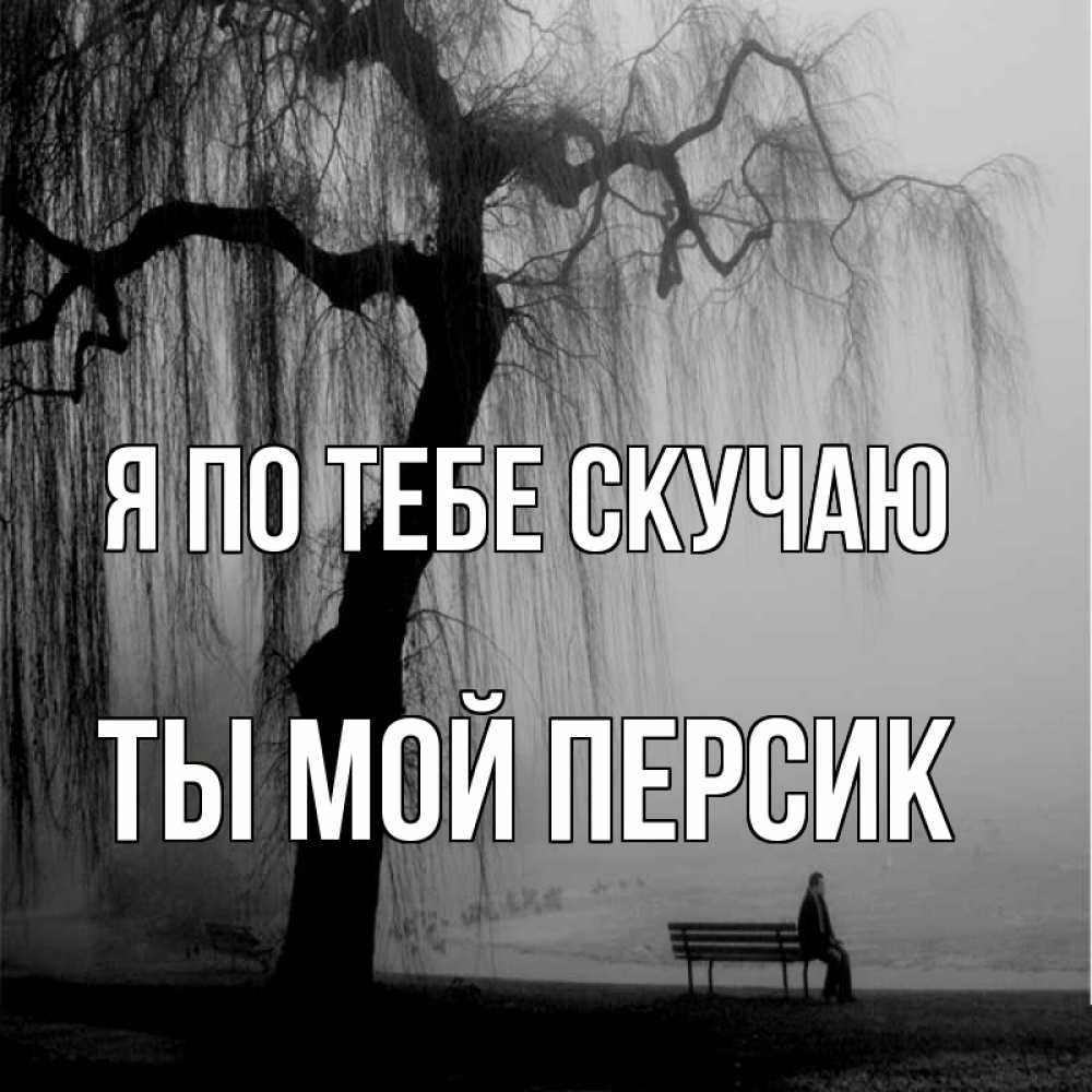 Открытка на каждый день с именем, Ты-мой-персик Я по тебе скучаю лавочка под деревом я жду тебя Прикольная открытка с пожеланием онлайн скачать бесплатно 