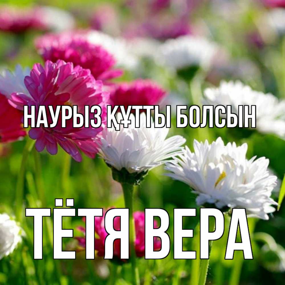 Открытка на каждый день с именем, Тётя-Вера Наурыз құтты болсын наурыз Прикольная открытка с пожеланием онлайн скачать бесплатно 