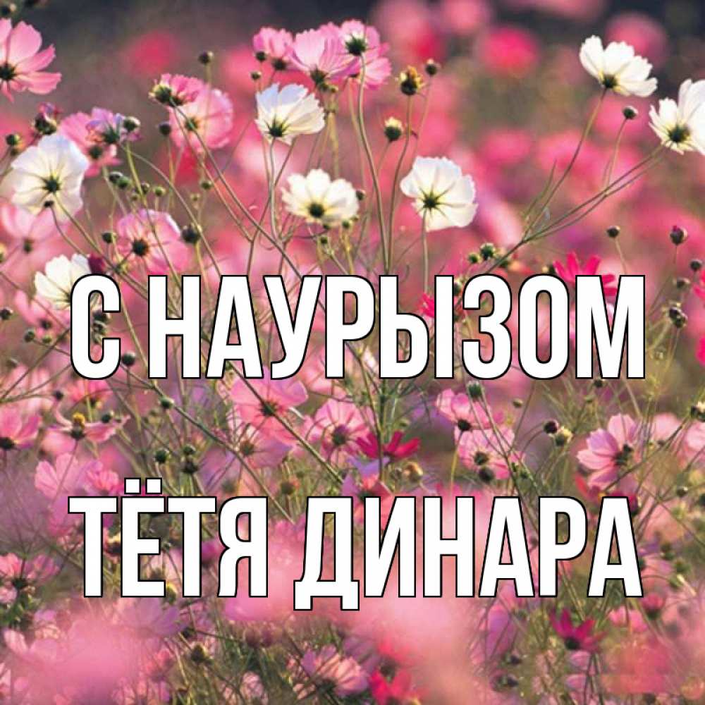 Открытка на каждый день с именем, Тётя-Динара С наурызом красиво 1 Прикольная открытка с пожеланием онлайн скачать бесплатно 