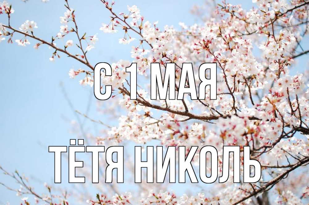 Открытка на каждый день с именем, Тётя-Николь С 1 мая С 1 мая Прикольная открытка с пожеланием онлайн скачать бесплатно 