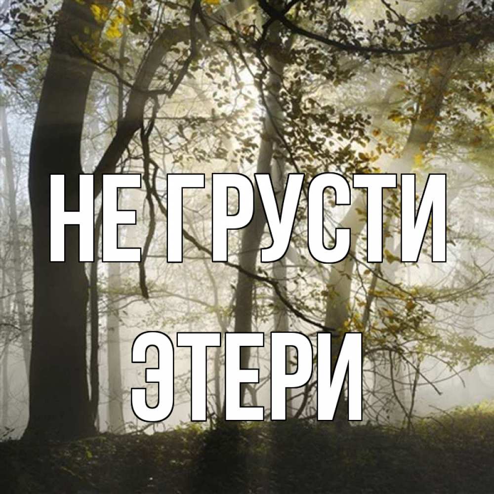 Открытка на каждый день с именем, Этери Не грусти лес и свет Прикольная открытка с пожеланием онлайн скачать бесплатно 