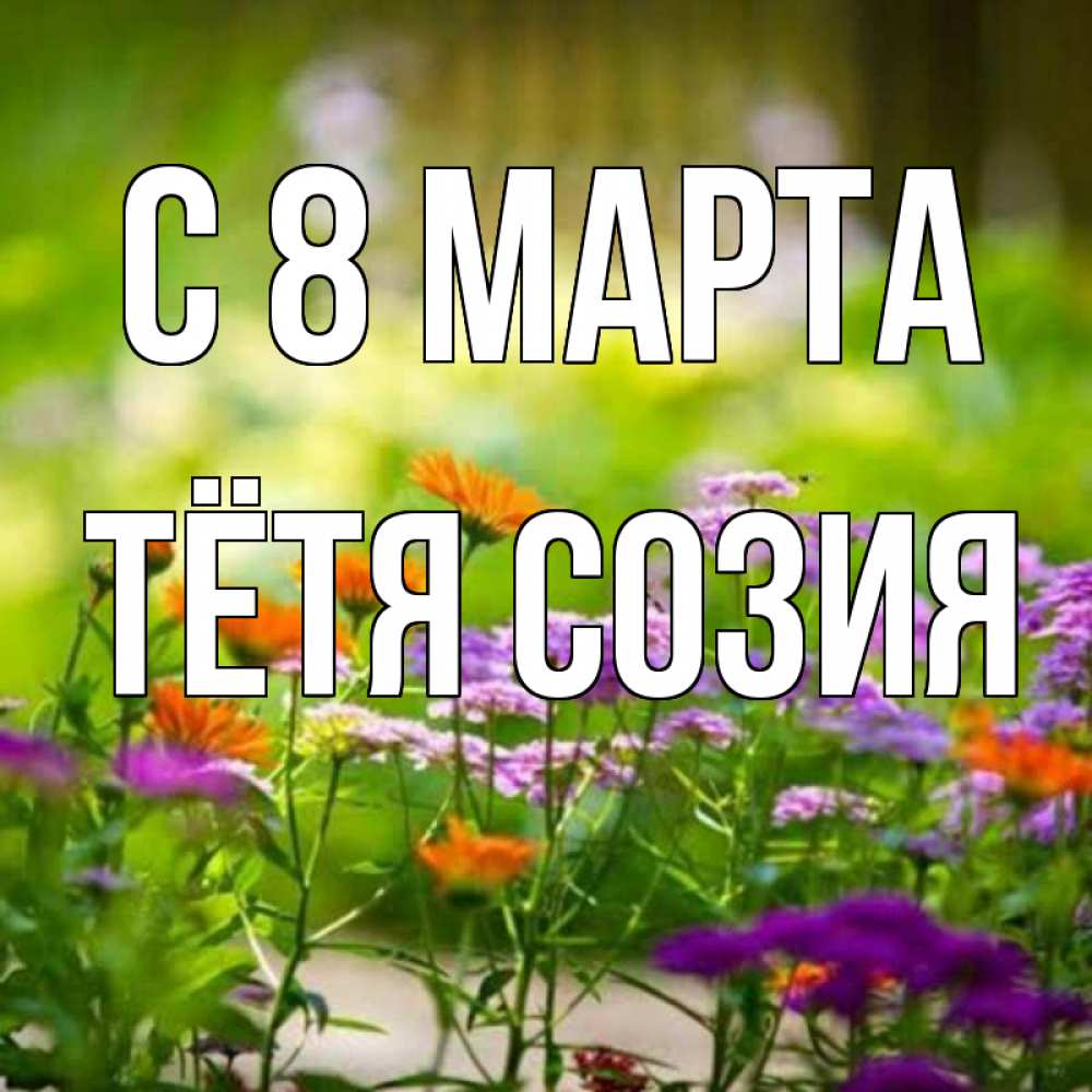 Открытка на каждый день с именем, Тётя-Созия С 8 МАРТА цветы Прикольная открытка с пожеланием онлайн скачать бесплатно 